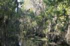 dsc01633_small.jpg