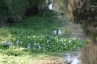 dsc01634_small.jpg