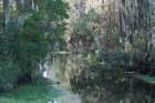 dsc01635_small.jpg