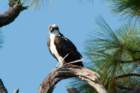 dsc07646_small.jpg