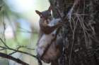 dsc07688_small.jpg