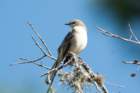 dsc07708_small.jpg