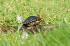 dsc07772_small.jpg