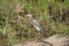 dsc07789_small.jpg