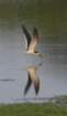 sawgrass120412016_small.jpg