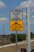 celeryfields16042012106_small.jpg