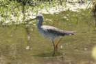 dsc08487_small.jpg