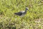 dsc08500_small.jpg