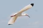 dsc08614_small.jpg