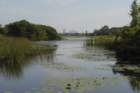 boydhillnaturereserve19042012001_small.jpg