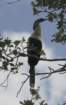 boydhillnaturereserve19042012037_small.jpg