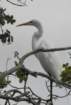 boydhillnaturereserve19042012040_small.jpg