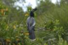 boydhillnaturereserve19042012083_small.jpg