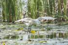 dsc08666_small.jpg