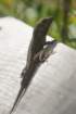 dsc08670_small.jpg