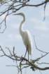 dsc08720_small.jpg