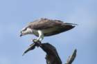 dsc08848_small.jpg
