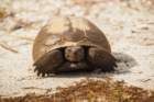 dsc08877_small.jpg