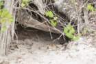 dsc08882_small.jpg
