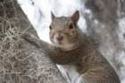 dsc08915_small.jpg