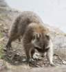 dsc08919_small.jpg