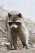 dsc08920_small.jpg