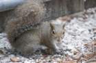 dsc08931_small.jpg