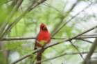 dsc08939_small.jpg