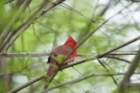 dsc08942_small.jpg