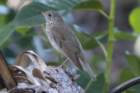 dsc09027_small.jpg