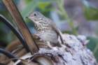 dsc09035_small.jpg