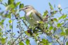dsc09080_small.jpg