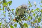 dsc09083_small.jpg