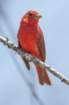 dsc09157_small.jpg