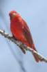 dsc09159_small.jpg