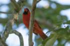 dsc09310_small.jpg