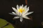 dsc09426_small.jpg