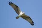 dsc09442_small.jpg