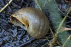 dsc09453_small.jpg