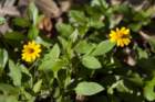 dsc09472_small.jpg