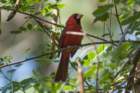 dsc09541_small.jpg