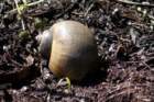 dsc09553_small.jpg