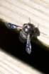 dsc09591_small.jpg