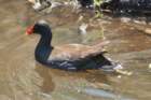 dsc09661_small.jpg