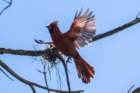 dsc09715_small.jpg