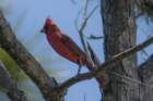 dsc09737_small.jpg