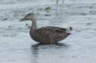 dsc00119_small.jpg