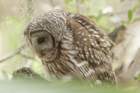 dsc00455_small.jpg