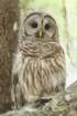 dsc00534_small.jpg
