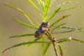 dsc01583_small.jpg